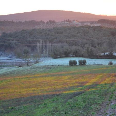 Podere Ficareto Farm Ancaiano ภายนอก รูปภาพ