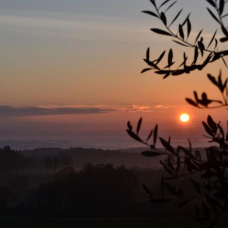 Podere Ficareto Farm Ancaiano ภายนอก รูปภาพ