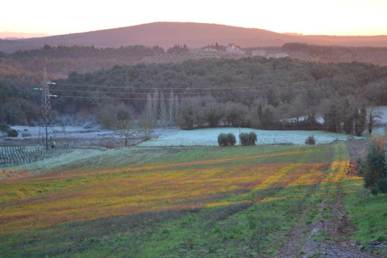 Podere Ficareto Farm Ancaiano ภายนอก รูปภาพ