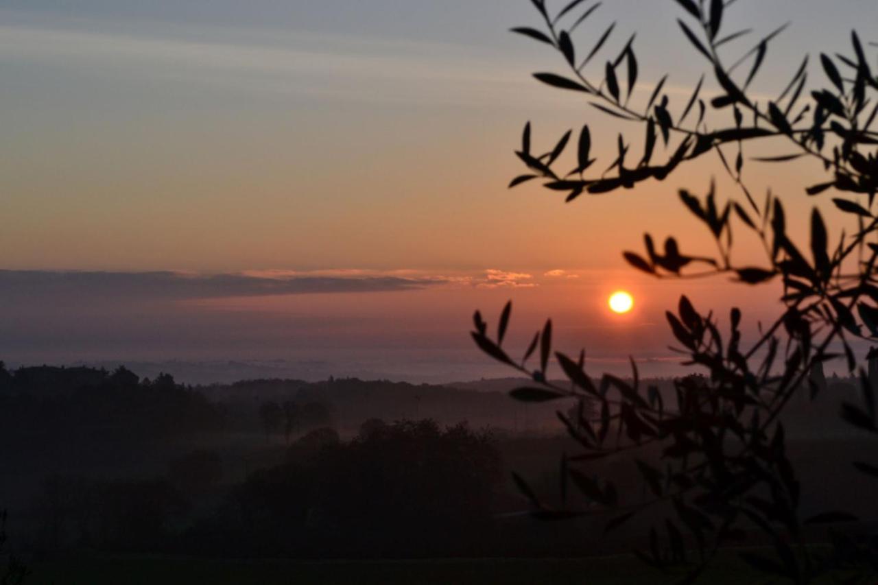 Podere Ficareto Farm Ancaiano ภายนอก รูปภาพ