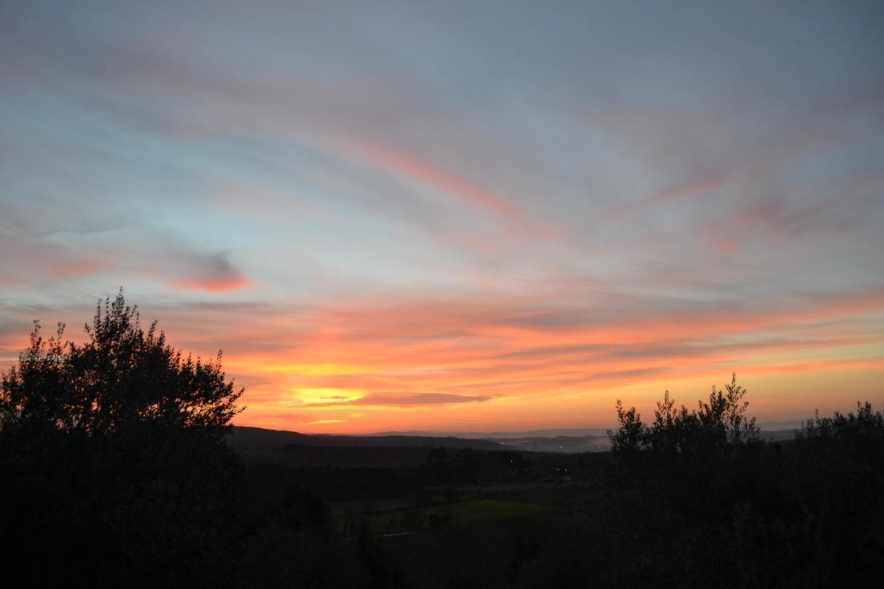 Podere Ficareto Farm Ancaiano ภายนอก รูปภาพ