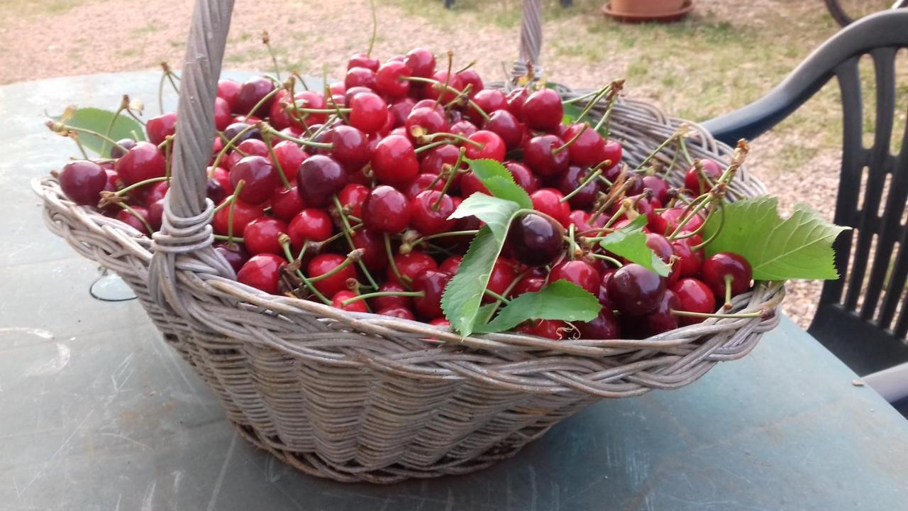 Podere Ficareto Farm Ancaiano ภายนอก รูปภาพ